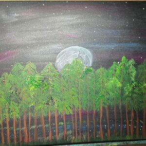 Enchanted Night Forest Canvas Art